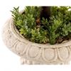 Picture of French Potted Artificial Faux Stemmed Topiary Ball