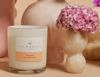 Watermelon Standard Candle - Palm Beach